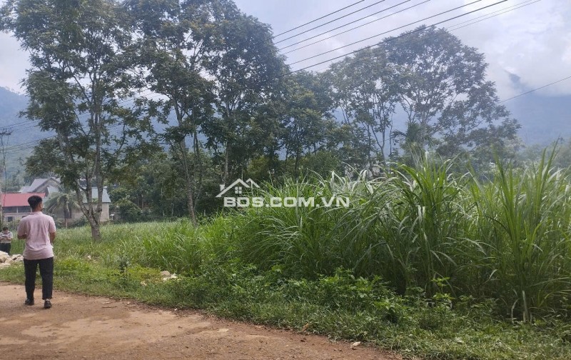 NGÂN HÀNG PHÁT MẠI 1315M ĐẤT TẠI THÔN TRÉ, XÃ BÁ THƯỚC, TỈNH THANH HÓA.